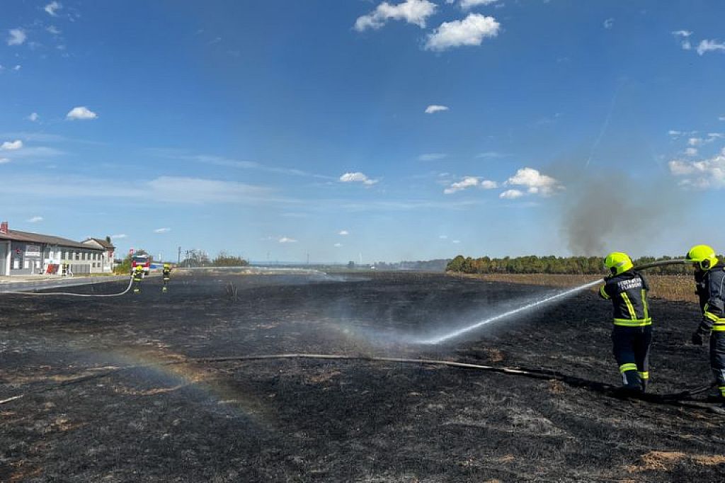 © APA/PRESSETEAM BFKDO KORNEUBURG