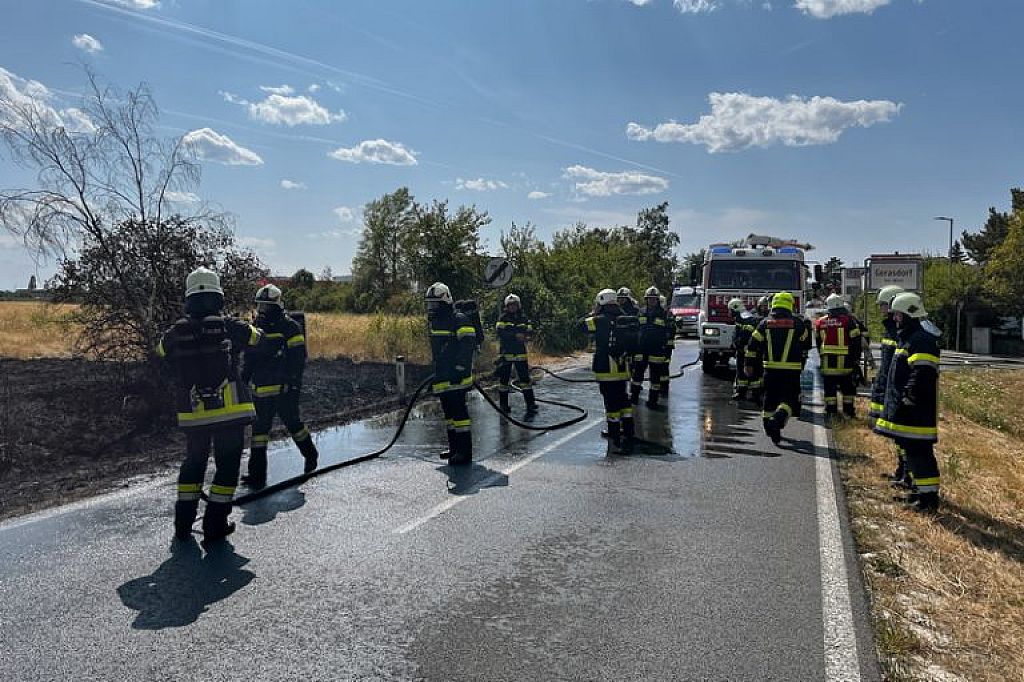 © APA/PRESSETEAM BFKDO KORNEUBURG