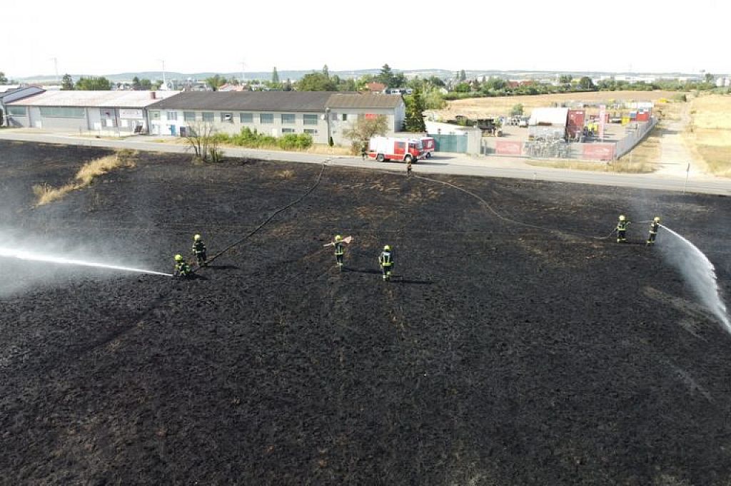 © APA/PRESSETEAM BFKDO KORNEUBURG