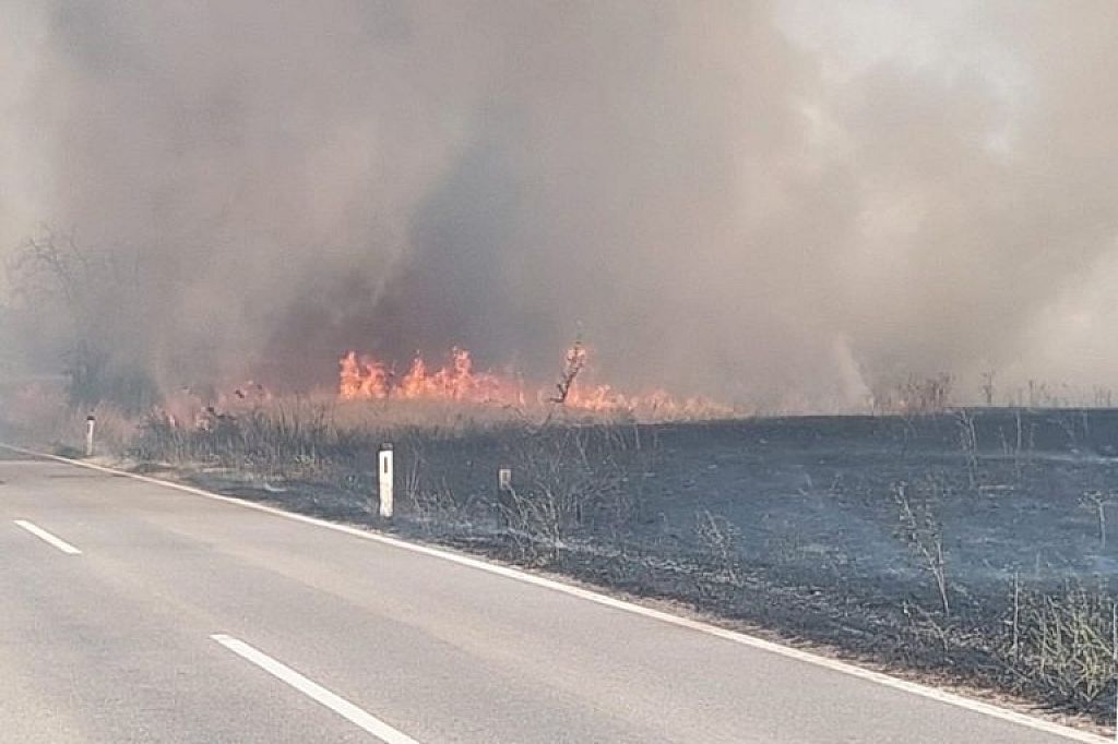© APA/PRESSETEAM BFKDO KORNEUBURG