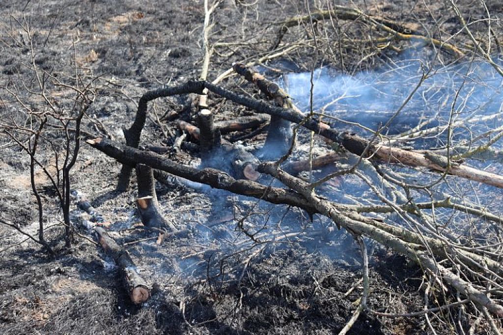 © APA/PRESSETEAM BFKDO KORNEUBURG