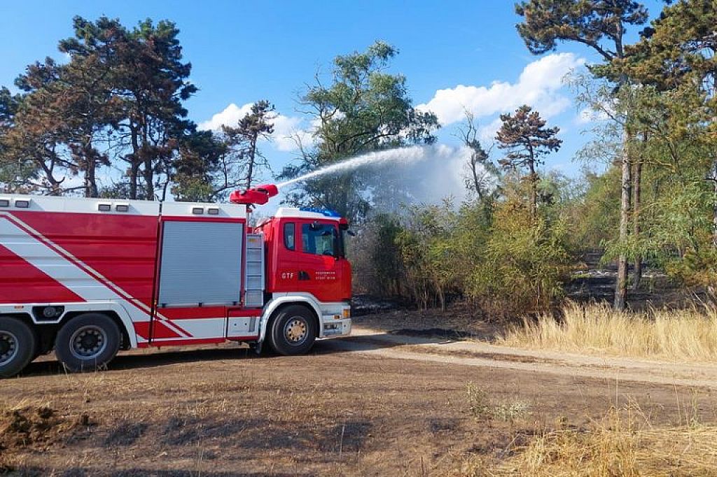 © APA/PRESSETEAM BFKDO KORNEUBURG