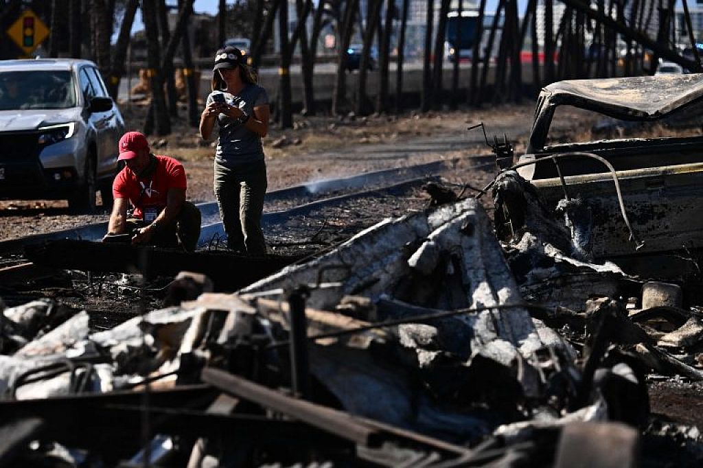 © APA/AFP, AP