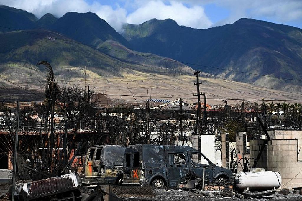 © APA/AFP, AP