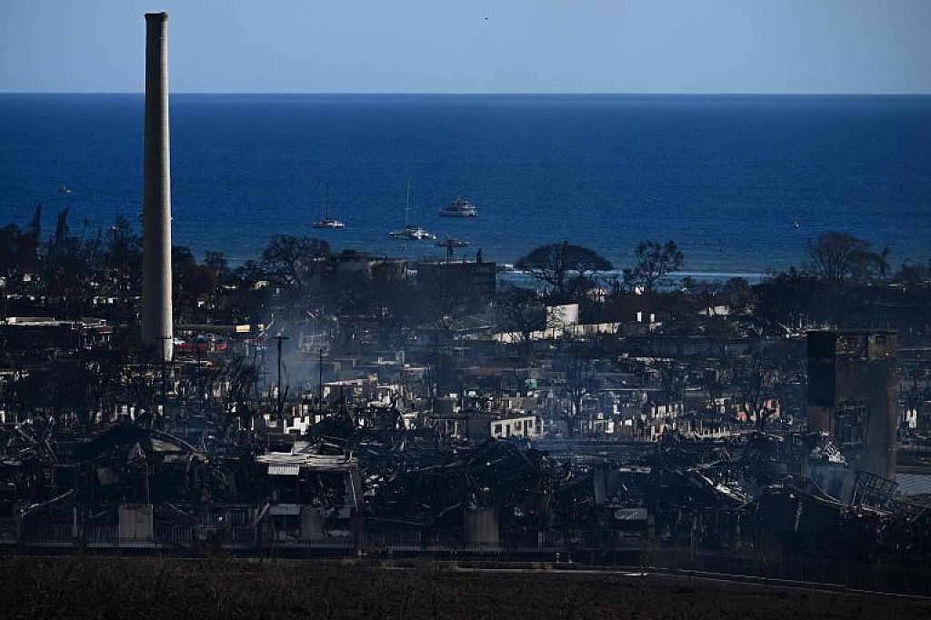 © APA/AFP, AP
