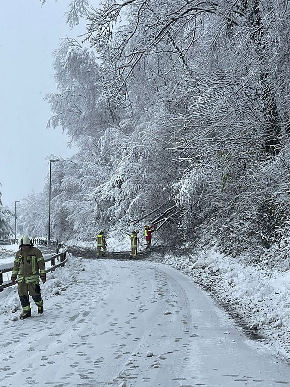 © Stadt Hohenems