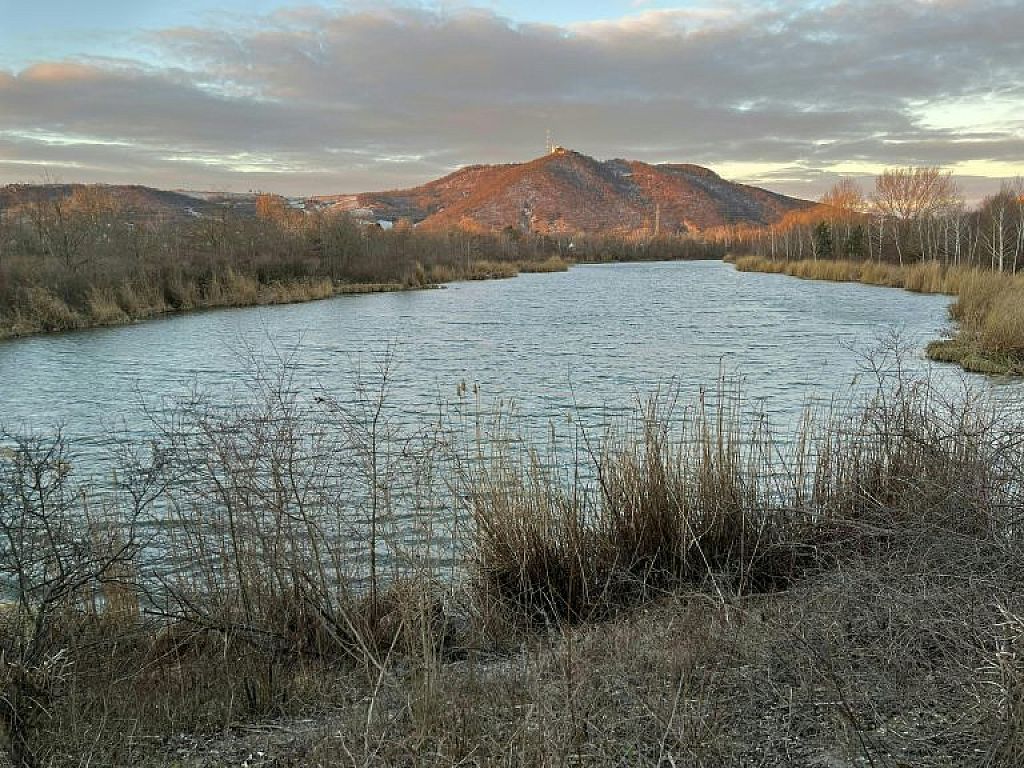 © APA/BARBARA BUCHEGGER