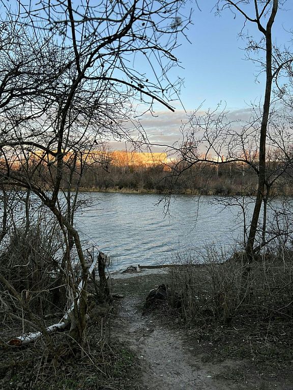 © APA/BARBARA BUCHEGGER