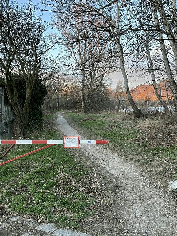 © APA/BARBARA BUCHEGGER