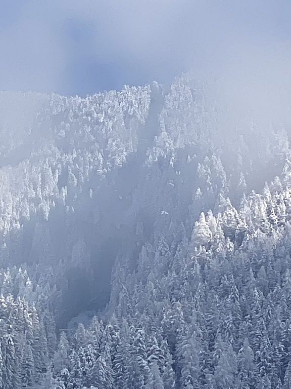 Seilbahn-Unglück im Ötztal © APA