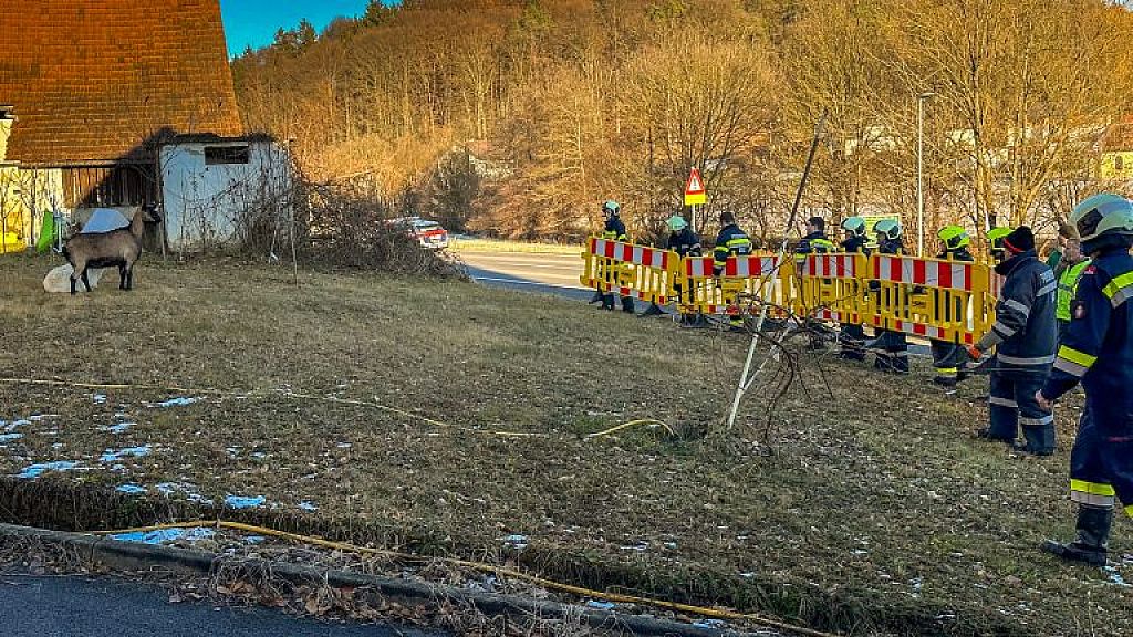 © APA/BFVFB/C. KARNER