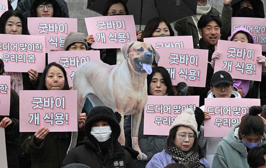 © AP, AFP