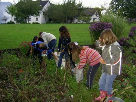 Den Kindern machte die Kartoffelernte großen Spaß. Den Kindern machte die Kartoffelernte großen Spaß.