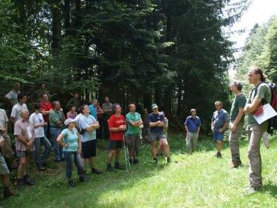 Peter Feuersinger erklärt das Projekt "Schutzwald Hittisau-Bolgenach"