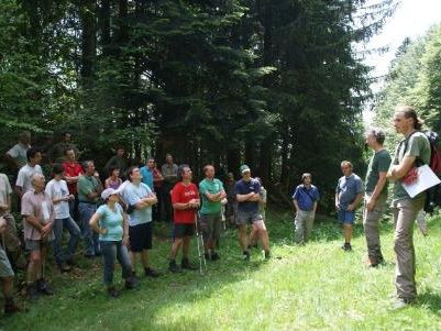 Peter Feuersinger erklärt das Projekt "Schutzwald Hittisau-Bolgenach" Peter Feuersinger erklärt das Projekt "Schutzwald Hittisau-Bolgenach"