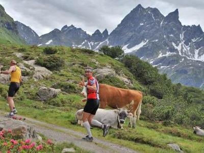 Bild: Wer Freude an sportlicher Aktivität hat, für den ist der 7. Montafon-Arlberg-Sparkasse-Marathon oder -Marsch genau das Richtige! Diese Aufnahme entstand am 5. Juli 2008.