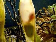 Hai-Nachwuchs in Mariahilf Hai-Nachwuchs in Mariahilf