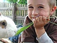 Kleintiersprachkurse im Wiener Zoo Kleintiersprachkurse im Wiener Zoo