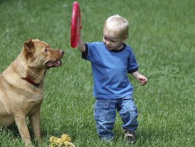 Frisbee macht in jedem Alter Spaß. (Foto: Istopckphoto)