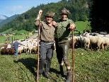 Die Hirten von der Alpe Schadona brachten ihre Herde sicher ins Tal Die Hirten von der Alpe Schadona brachten ihre Herde sicher ins Tal