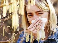 Vor allem Mädchen sind von Allergien betroffen. Vor allem Mädchen sind von Allergien betroffen.