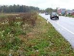 Bild: Hier zwischen der Hochwasserrückhaltefläche und der Paspelsstraße wird 2010 ein Radweg gebaut. Bild: Hier zwischen der Hochwasserrückhaltefläche und der Paspelsstraße wird 2010 ein Radweg gebaut.