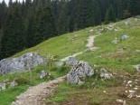 Der Wanderweg Matschwitz Richtung Platzadels wurde saniert Der Wanderweg Matschwitz Richtung Platzadels wurde saniert