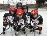 Eishockey jetzt gratis bei der FBI VEU erlernen Eishockey jetzt gratis bei der FBI VEU erlernen