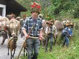 Rund 270 Stück Vieh kehrte von der Alpe Schuttannen ins Tal zurück.