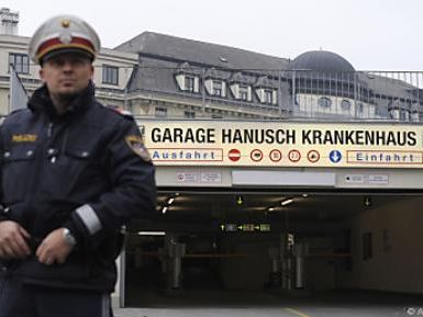 Der mutmaßliche Täter wurde in der Steiermark festgenommen. Der mutmaßliche Täter wurde in der Steiermark festgenommen.