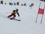 Gebrauchte Wintersportartikel könnten günstig den Besitzer wechseln. Gebrauchte Wintersportartikel könnten günstig den Besitzer wechseln.