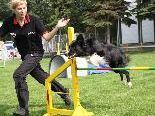 Agility-Weltmeisterin Lisa Frick will den Wintercup gewinnen. Agility-Weltmeisterin Lisa Frick will den Wintercup gewinnen.