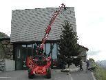 Durch die Familie Zimermann wurde der Weihnachtsbaum spendiert.