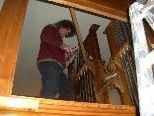 Orgelbaumeister Walter Vonbank beim Einbau der restaurierten Orgel in der Kirche St. Viktor Orgelbaumeister Walter Vonbank beim Einbau der restaurierten Orgel in der Kirche St. Viktor