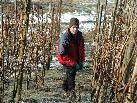 Frank Bregant arbeitet in seiner Freizeit auch bei eisigen Temperaturen im Weinberg. Frank Bregant arbeitet in seiner Freizeit auch bei eisigen Temperaturen im Weinberg.