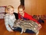 Hannah und Klara mit dem kleinen "Olli" Hannah und Klara mit dem kleinen "Olli"