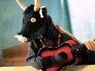 "Fernando", der kleine Stier tritt im Saal der Villa Falkenhorst vors Publikum. "Fernando", der kleine Stier tritt im Saal der Villa Falkenhorst vors Publikum.