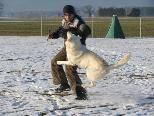 Bereits vergangenen Januar fanden bei Schnee Trainings für Hunde in Nofels statt.