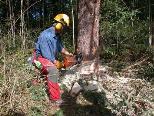 Forstkurse für Hobbyholzer
