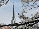 An die  2.200 Kirschbäume machen das auf 817 m hoch gelegene Kriasidorf so berühmt An die  2.200 Kirschbäume machen das auf 817 m hoch gelegene Kriasidorf so berühmt