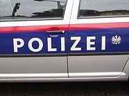 Die Wiener Polizei hatte zuletzt einiges zu tun. Die Wiener Polizei hatte zuletzt einiges zu tun.