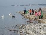 Jung und Alt sind jedes Jahr für eine saubere Umwelt im Einsatz. Jung und Alt sind jedes Jahr für eine saubere Umwelt im Einsatz.