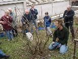 Winterschnittkurs war gut besucht Winterschnittkurs war gut besucht