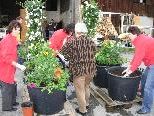 Blumenpunkte - Start ins 2. Jahr Blumenpunkte - Start ins 2. Jahr
