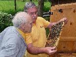Der Bienenzuchtverein lädt zum "Tag des offenen Bienenstocks".