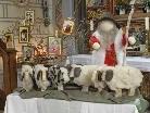 Der Gute Hirte hütet seine Schafe - Arbeit der Erstkommunionskinder von Silbertal in der örtlichen Pfarrkirche.