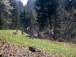 Hilti Lehrlinge rückten zum "Landschaftsputz" ins Natura 2000 Gebiet aus. Hilti Lehrlinge rückten zum "Landschaftsputz" ins Natura 2000 Gebiet aus.
