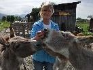 Renate Burda mit ihren Eseldamen. Renate Burda mit ihren Eseldamen.