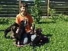 Dominik Bachmeier mit den Hundebabies von Aika