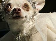 Symbolbild Symbolbild